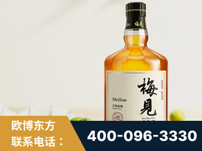阆中-梅见青梅酒